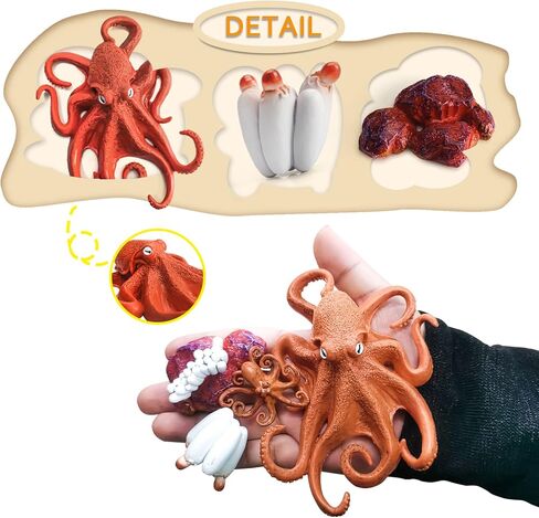 LC JoyCre Hermit Crab Toys Plastic Crab Figurine 5 Inch Sea Creatures Toys for Kids Crab Decor for Collection Realistic Sea Life Animals Figure Model in Kuwait