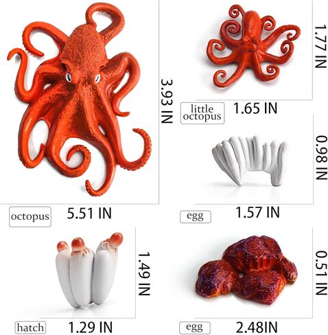 LC JoyCre Hermit Crab Toys Plastic Crab Figurine 5 Inch Sea Creatures Toys for Kids Crab Decor for Collection Realistic Sea Life Animals Figure Model in Kuwait
