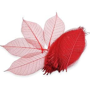 ChangThai Design Skeleton Leaves 3½" Long Undyed 100 Pieces Nature Dried Rubber Tree Leaf for Scrapbooks Photo Albums Crafts Wedding Cards Decoration Colorful Decorative Arrangements Décor Gifts