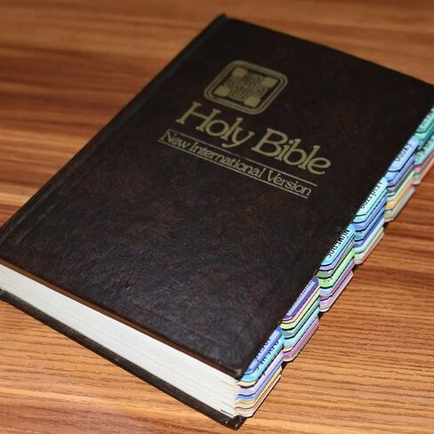 Spanish Bible Index Tabs New & Old Testament Tabs Matte Laminated Floral Design, Bible Journaling Supplies - 122 Pcs (Terracotta) in Kuwait