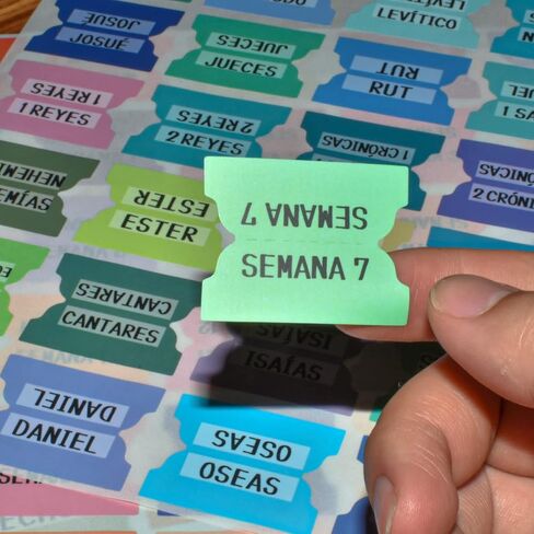 Spanish Bible Index Tabs New & Old Testament Tabs Matte Laminated Floral Design, Bible Journaling Supplies - 122 Pcs (Terracotta) in Kuwait