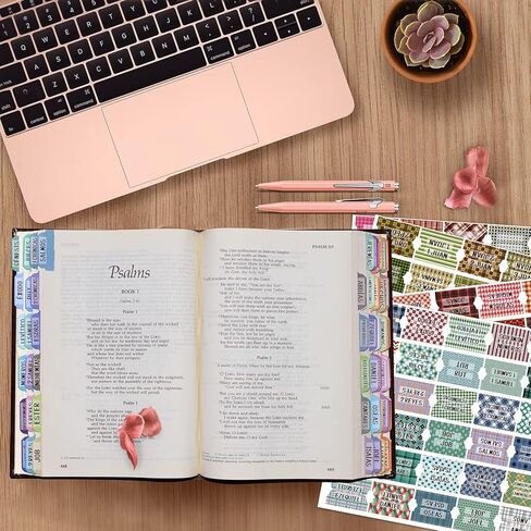 Spanish Bible Index Tabs New & Old Testament Tabs Matte Laminated Floral Design, Bible Journaling Supplies - 122 Pcs (Terracotta) in Kuwait