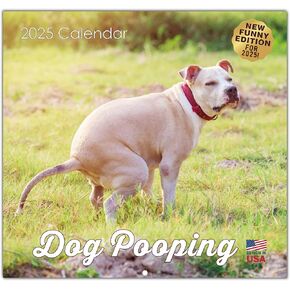 2025 Wall Calendar Funny - 12"x 12" HD Natures Butts Calendar 2025, Unique Gag Gifts, Stocking Stuffers, Weird Gifts, Christmas Gift, Prank Gifts, Funny White Elephant Gift for Men & Women