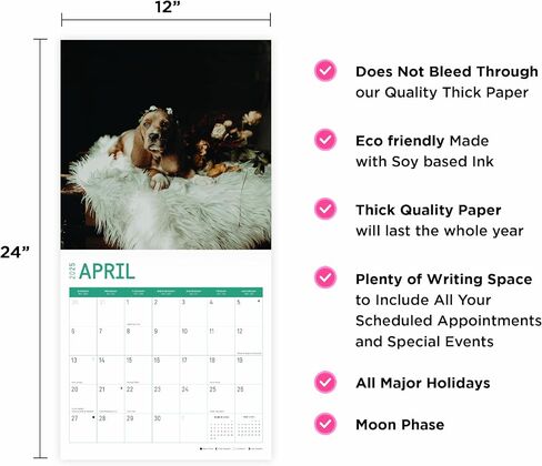 2025 Basset Hound Puppies Monthly Wall Calendar by Bright Day, 12 x 12 Inch Cute Dog Breed Gift in Saudi Arabia