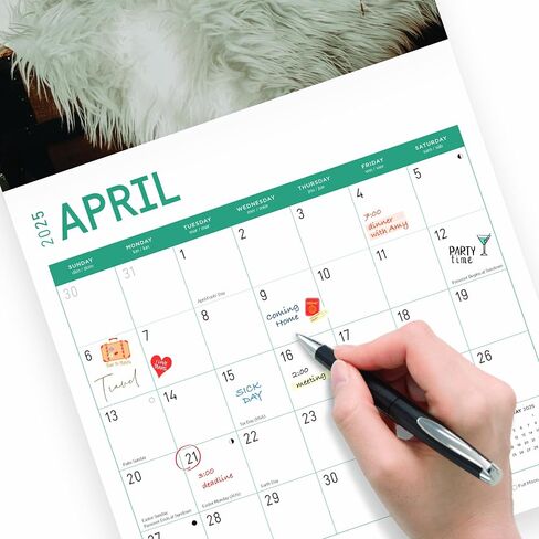 2025 Basset Hound Puppies Monthly Wall Calendar by Bright Day, 12 x 12 Inch Cute Dog Breed Gift in Saudi Arabia