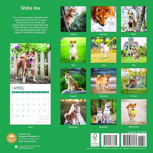 2025 Shiba Inu Monthly Wall Calendar by Bright Day, 12 x 12 Inch Cute Dog Breed Gift in Saudi Arabia