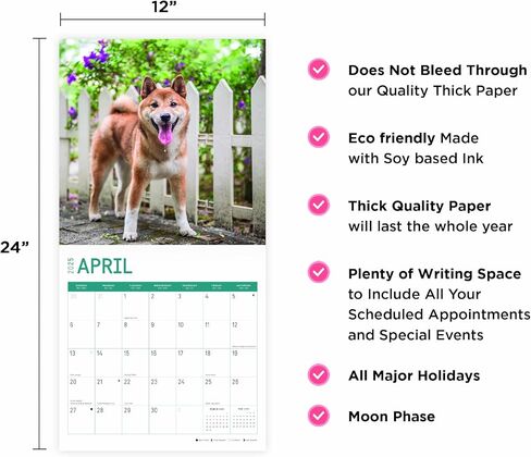 2025 Shiba Inu Monthly Wall Calendar by Bright Day, 12 x 12 Inch Cute Dog Breed Gift in Saudi Arabia