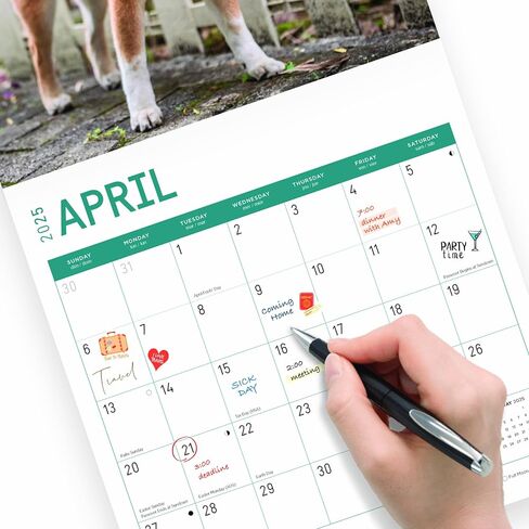 2025 Shiba Inu Monthly Wall Calendar by Bright Day, 12 x 12 Inch Cute Dog Breed Gift in Saudi Arabia