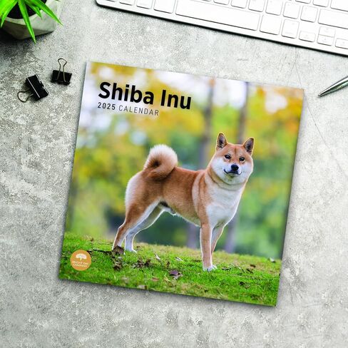 2025 Shiba Inu Monthly Wall Calendar by Bright Day, 12 x 12 Inch Cute Dog Breed Gift in Saudi Arabia