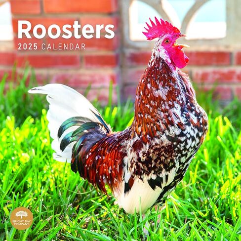 2025 Roosters Monthly Wall Calendar by Bright Day, 12 x 12 Inch Cute Nature Photography Gift in Saudi Arabia