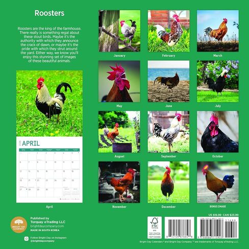 2025 Roosters Monthly Wall Calendar by Bright Day, 12 x 12 Inch Cute Nature Photography Gift in Saudi Arabia