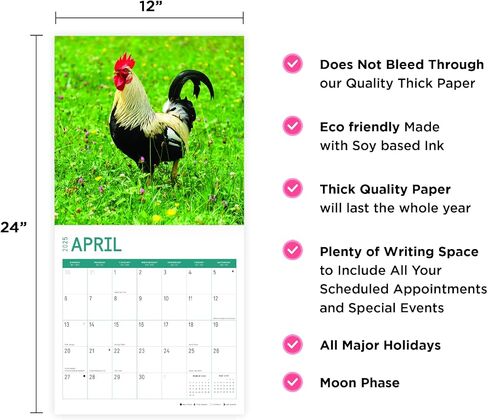 2025 Roosters Monthly Wall Calendar by Bright Day, 12 x 12 Inch Cute Nature Photography Gift in Saudi Arabia