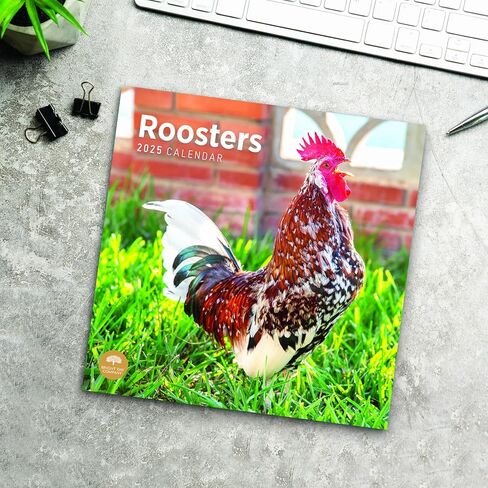 2025 Roosters Monthly Wall Calendar by Bright Day, 12 x 12 Inch Cute Nature Photography Gift in Saudi Arabia
