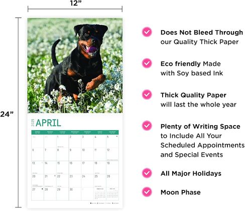 2025 Rottweilers Monthly Wall Calendar by Bright Day, 12 x 12 Inch Cute Dog Breed Gift in Saudi Arabia