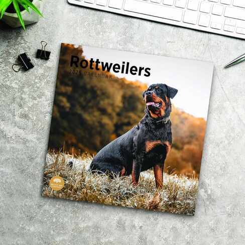 2025 Rottweilers Monthly Wall Calendar by Bright Day, 12 x 12 Inch Cute Dog Breed Gift in Saudi Arabia
