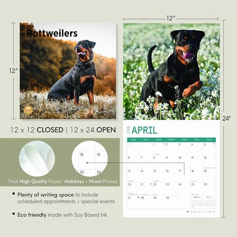 2025 Rottweilers Monthly Wall Calendar by Bright Day, 12 x 12 Inch Cute Dog Breed Gift in Saudi Arabia