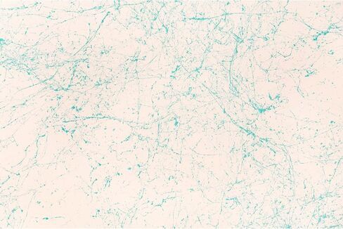 Montana Cans Montana Effect 400 ml Marble Color, Black Spray Paint in Saudi Arabia
