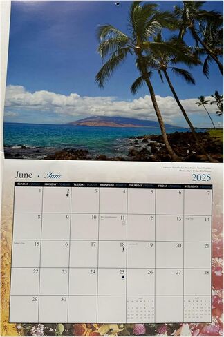 Islander Hawaii Hawaiian 2025 Twelve Month Wall Calendar (Kauai The Garden Isle) in Saudi Arabia