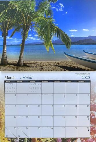 Islander Hawaii Hawaiian 2025 Twelve Month Wall Calendar (Kauai The Garden Isle) in Saudi Arabia