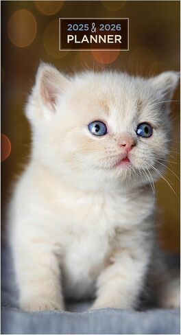 TF PUBLISHING 2025-2026 Kittens 2-Year Small Monthly Pocket Planner | 2-Page Large Calendar Grid and Lined Notes Section in Back | Monthly Day Planner for Purse | 3.5" x 6.5" in Saudi Arabia