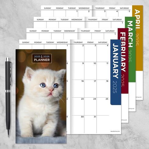 TF PUBLISHING 2025-2026 Kittens 2-Year Small Monthly Pocket Planner | 2-Page Large Calendar Grid and Lined Notes Section in Back | Monthly Day Planner for Purse | 3.5" x 6.5" in Saudi Arabia