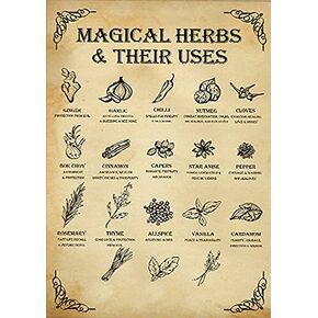 Eeypy Magical Herbs and Their Uses Witchy Poster Kitchen Witch Wall Art Vintage Kitchen Witchery Witches Magic Knowledge Poster Tin Signs for Man Cave 8x12 Inch