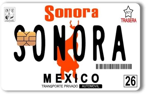Mexico Placas - Mexican License Plate - Credit and Debit Card Skin Vinyl Sticker (2 Piece) (Zacatecas) in Saudi Arabia