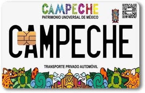 Mexico Placas - Mexican License Plate - Credit and Debit Card Skin Vinyl Sticker (2 Piece) (Zacatecas) in Saudi Arabia