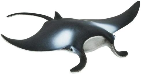 Safari Ltd. Manta Ray Figurine - Realistic 4" Sea Creature Figure - Educational Toy for Boys, Girls, and Kids Ages 3+ in Saudi Arabia