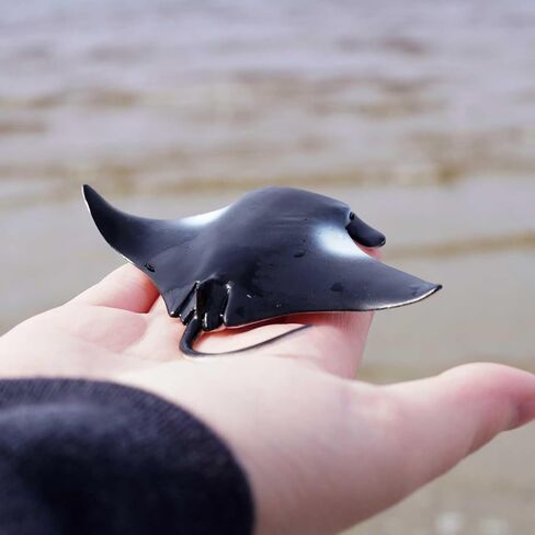 Safari Ltd. Manta Ray Figurine - Realistic 4" Sea Creature Figure - Educational Toy for Boys, Girls, and Kids Ages 3+ in Saudi Arabia