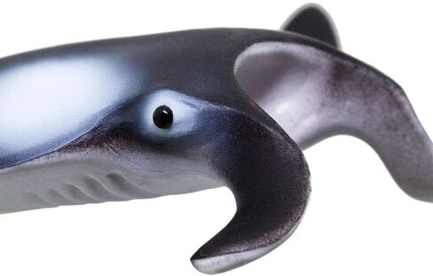 Safari Ltd. Manta Ray Figurine - Realistic 4" Sea Creature Figure - Educational Toy for Boys, Girls, and Kids Ages 3+ in Saudi Arabia