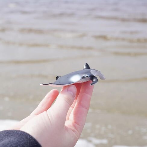 Safari Ltd. Manta Ray Figurine - Realistic 4" Sea Creature Figure - Educational Toy for Boys, Girls, and Kids Ages 3+ in Saudi Arabia