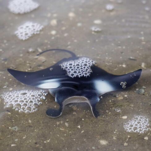 Safari Ltd. Manta Ray Figurine - Realistic 4" Sea Creature Figure - Educational Toy for Boys, Girls, and Kids Ages 3+ in Saudi Arabia