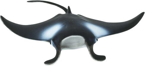 Safari Ltd. Manta Ray Figurine - Realistic 4" Sea Creature Figure - Educational Toy for Boys, Girls, and Kids Ages 3+ in Saudi Arabia