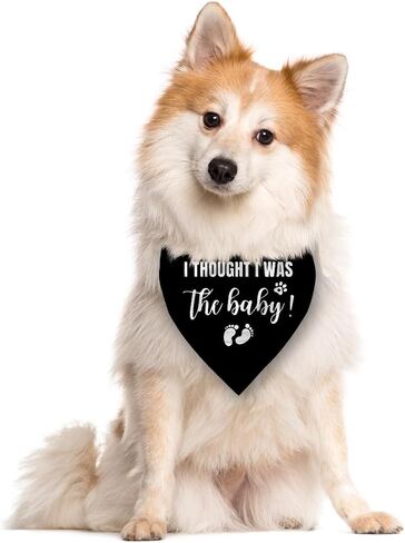 I Thought I was The Baby Dog Bandana, Dog Bandana, Dog Scarf Accessories, Dog Triangle Scarf, Dog Bandana for Large Dog, Pregnancy Announcement Dog Bandana, Dog Bandana Pet Scarf (L) in Saudi Arabia