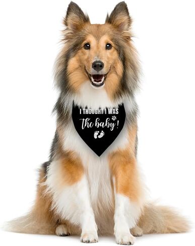I Thought I was The Baby Dog Bandana, Dog Bandana, Dog Scarf Accessories, Dog Triangle Scarf, Dog Bandana for Large Dog, Pregnancy Announcement Dog Bandana, Dog Bandana Pet Scarf (L) in Saudi Arabia