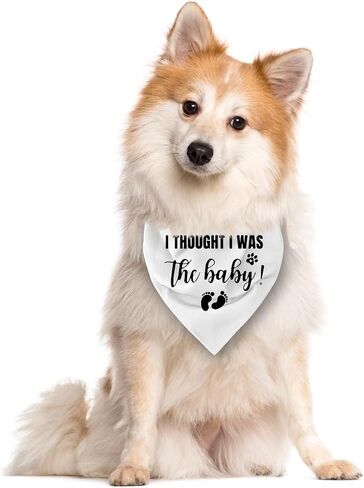 I Thought I was The Baby Dog Bandana, Dog Bandana, Dog Scarf Accessories, Dog Triangle Scarf, Dog Bandana for Large Dog, Pregnancy Announcement Dog Bandana, Dog Bandana Pet Scarf (L) in Saudi Arabia