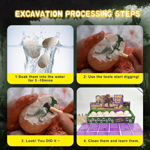 24 Rock Collection for Kids, Rocks Gems & Geodes Maker Lab STEM Kit, Gemstones & Crystals with Learning Guide,Educational Christmas Avent Calendar Geologist's Gift for Boys & Girls in Saudi Arabia