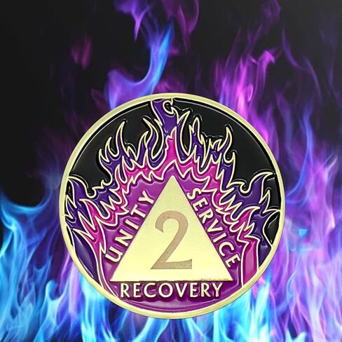 عملة بيربل لهب الرصانة لمدة عام واحد ميدالية استعادة رقاقة AA لـ AA NA 12 خطوة هدايا نظيفة ورصينة للرجال والنساء مدمني الكحول هدايا مجهولة للاحتفال بالتعافي من الإدمان in Kuwait