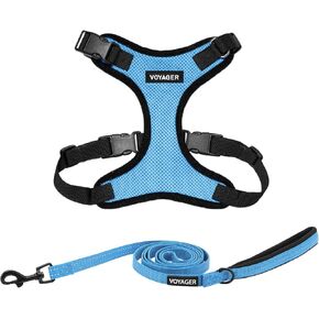 Voyager Step-in Lock Dog Harness w Reflective Dog Leash Combo Set with Neoprene Handle 5ft - Supports Small, Medium and Large Breed Puppies/Cats by Best Pet Supplies - Baby Blue/Black Trim, S