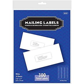 BAZIC 1" X 2 5/8" White Address Labels (300/Pack)