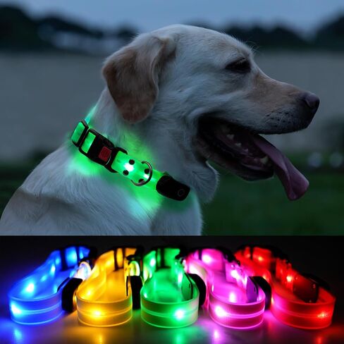 Lighted Dog Collars for Night Waterproof, Glowing Dog Collars, USB Rechargeable Led Light Up Dog Collars, Glow in Dark Dog Collars for Medium Large Dogs (Green, Pack of 1) in Saudi Arabia