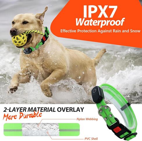 Lighted Dog Collars for Night Waterproof, Glowing Dog Collars, USB Rechargeable Led Light Up Dog Collars, Glow in Dark Dog Collars for Medium Large Dogs (Green, Pack of 1) in Saudi Arabia