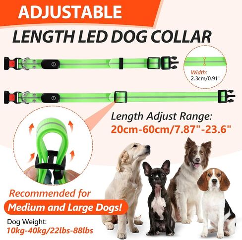 Lighted Dog Collars for Night Waterproof, Glowing Dog Collars, USB Rechargeable Led Light Up Dog Collars, Glow in Dark Dog Collars for Medium Large Dogs (Green, Pack of 1) in Saudi Arabia