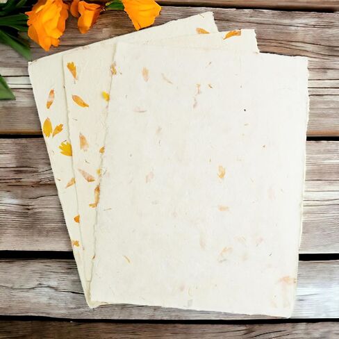 ورق طباعة Lokta بالليزر ونفث الحبر مصنوع يدويًا مع حافة Deckle مقاس 8.5 × 11 بوصة ورق طباعة متخصص ديكور عتيق (25 ورقة، طبيعي) in Kuwait