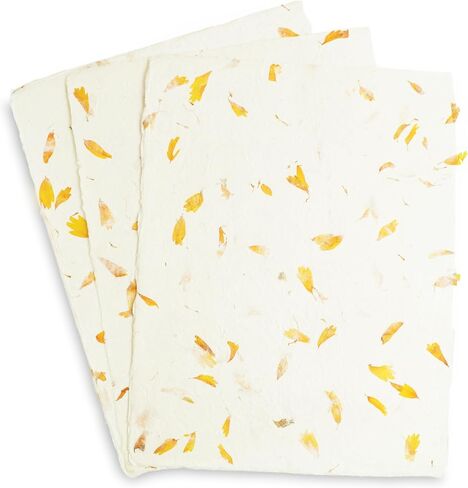 ورق طباعة Lokta بالليزر ونفث الحبر مصنوع يدويًا مع حافة Deckle مقاس 8.5 × 11 بوصة ورق طباعة متخصص ديكور عتيق (25 ورقة، طبيعي) in Kuwait