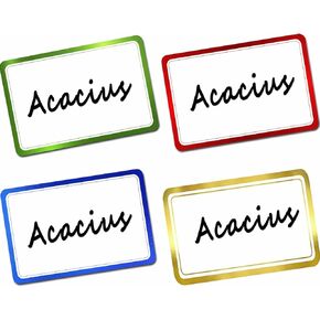 DUGUTUL Elegant Foil Stamped Name Tags Stickers - 200 PCS Set of Premium Metallic Name Labels with Adhesive - Perfect for School, Office, Home, and Events, 2" x 3" - Green
