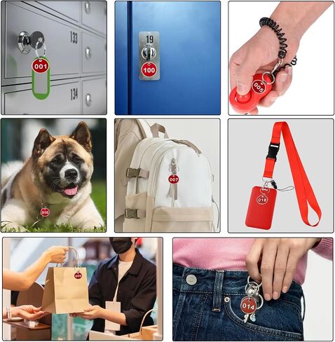 1-100 Numbered Key Tags Aluminum Alloy Metal Key Tag Set Marking Identification Hang Tags Luggage Labels ID Tag (Red) in Kuwait