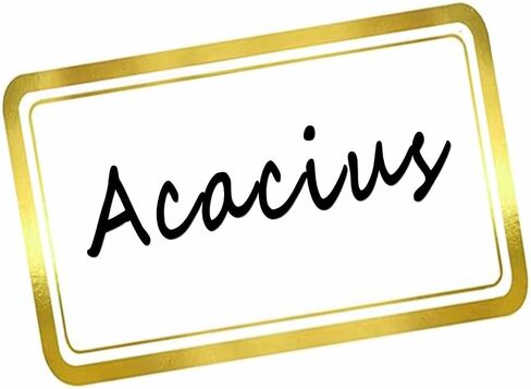 DUGUTUL Elegant Foil Stamped Name Tags Stickers - 200 PCS Set of Premium Metallic Name Labels with Adhesive - Perfect for School, Office, Home, and Events, 2" x 3" - Green in Saudi Arabia