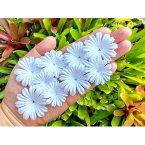 HukDok Daisy Petals Mulberry Paper Flowers Handmade for DIY Crafts Supplies Card Scrapbooking Embellishment,Wedding Supply Accessory (Pastel Colors)